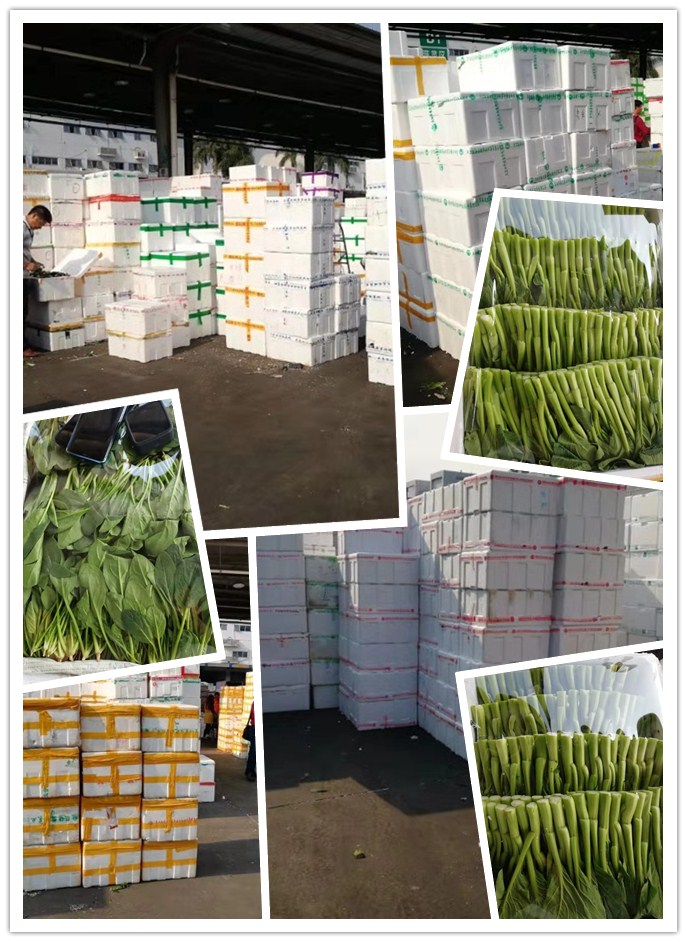 俄罗斯专享会294·VIP(中国区)官方网站