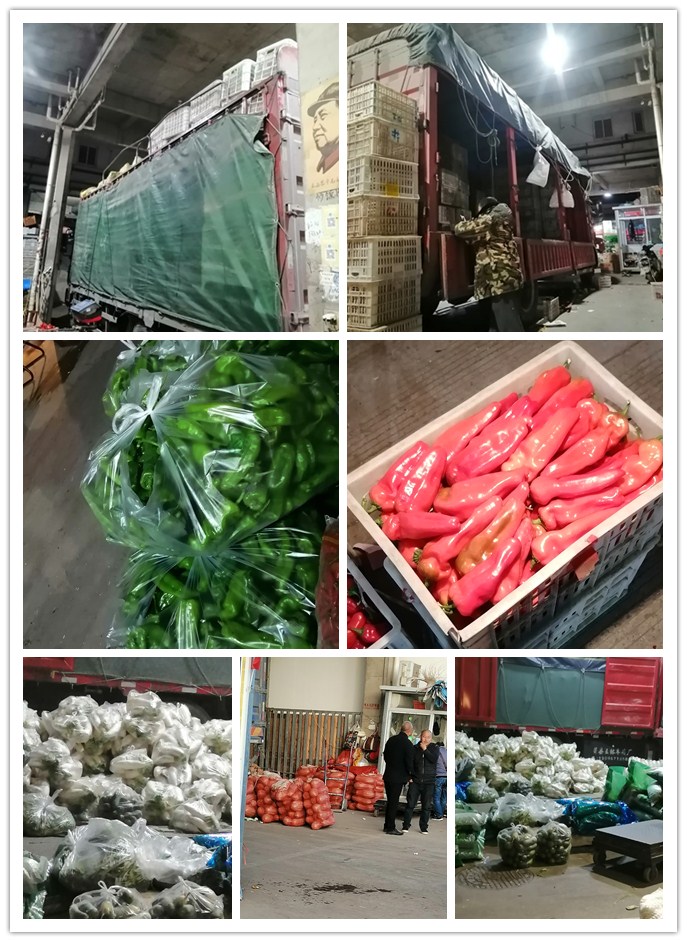 俄罗斯专享会294·VIP(中国区)官方网站