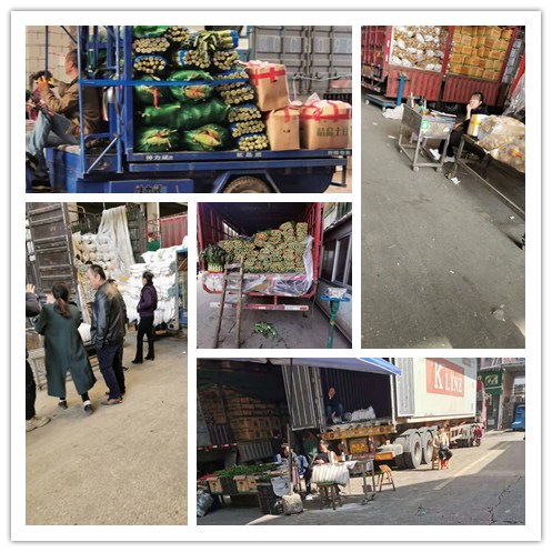 俄罗斯专享会294·VIP(中国区)官方网站