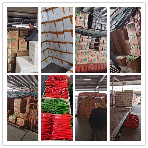 俄罗斯专享会294·VIP(中国区)官方网站