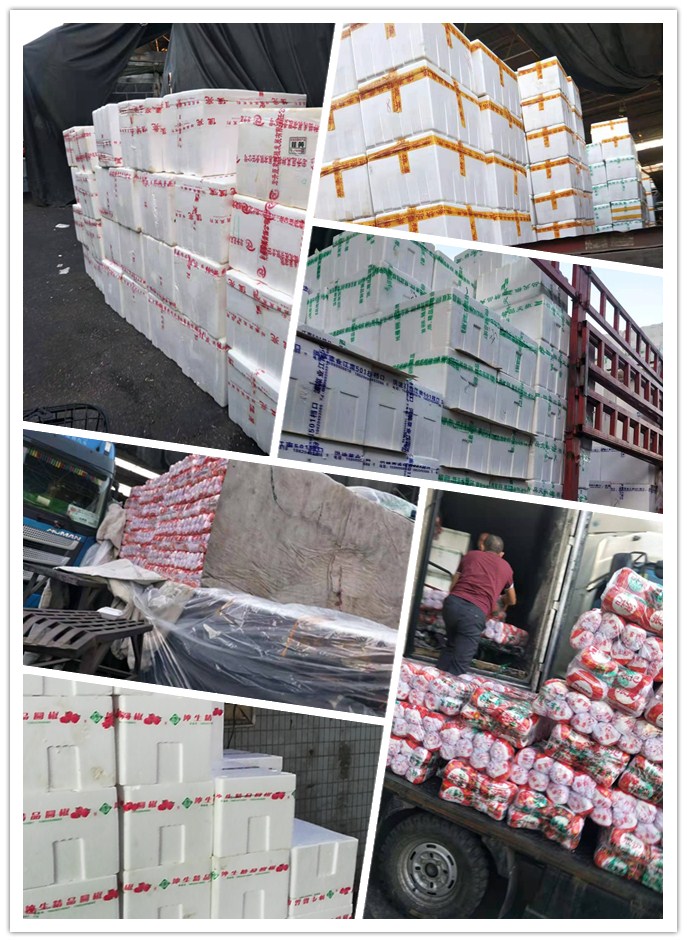 俄罗斯专享会294·VIP(中国区)官方网站