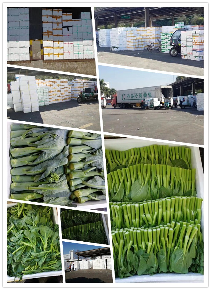 俄罗斯专享会294·VIP(中国区)官方网站