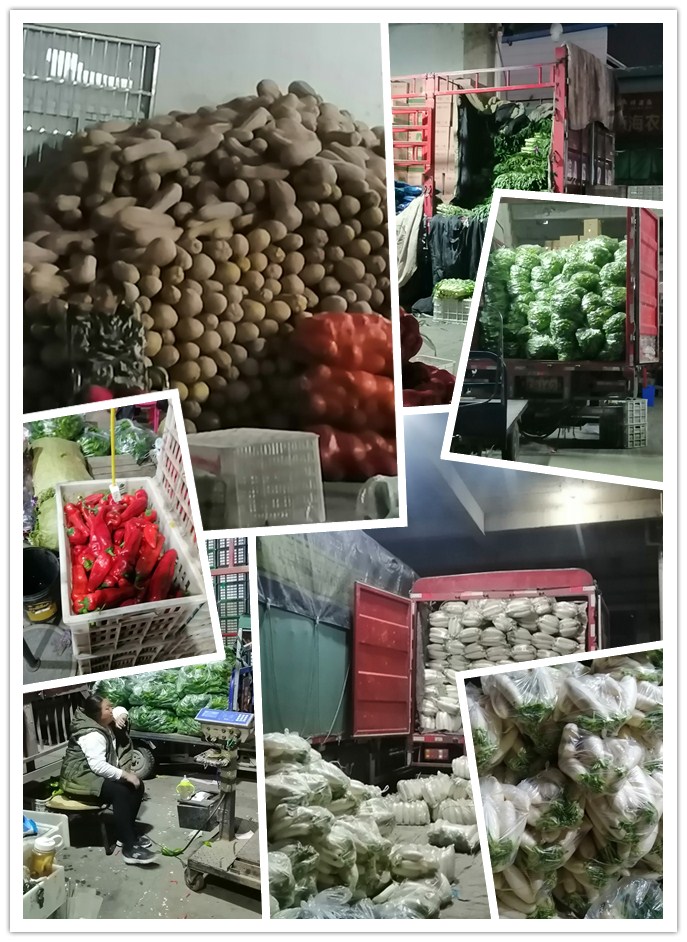 俄罗斯专享会294·VIP(中国区)官方网站