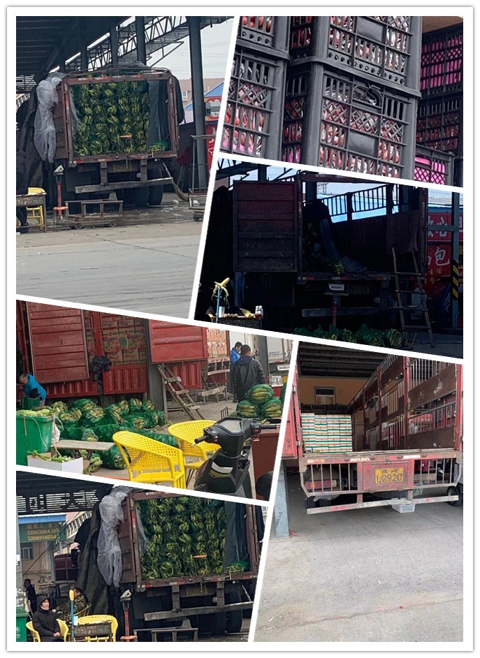 俄罗斯专享会294·VIP(中国区)官方网站