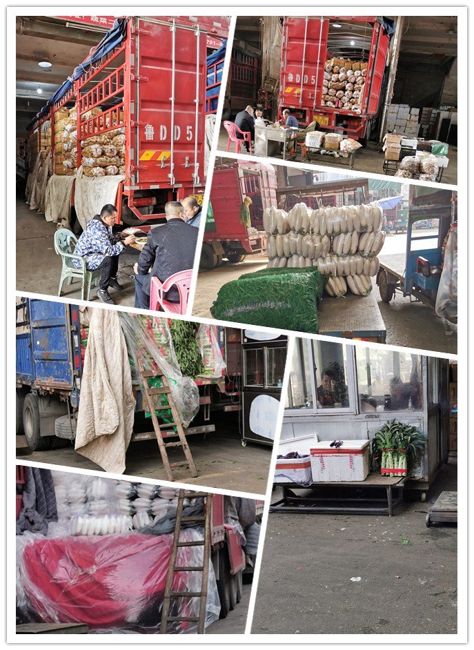 俄罗斯专享会294·VIP(中国区)官方网站