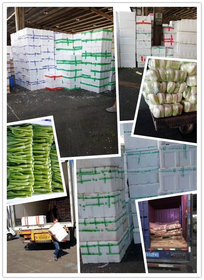 俄罗斯专享会294·VIP(中国区)官方网站