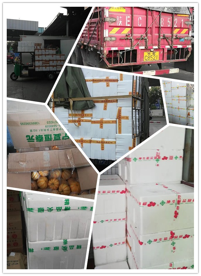 俄罗斯专享会294·VIP(中国区)官方网站