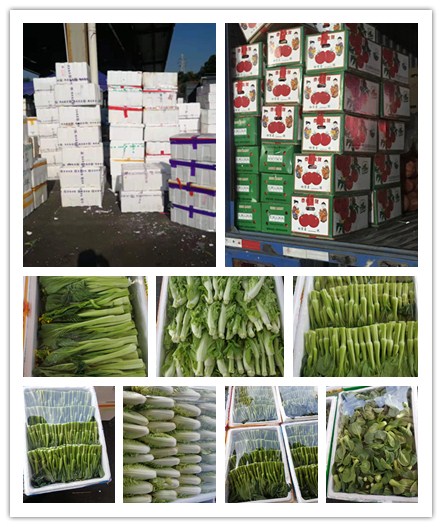 俄罗斯专享会294·VIP(中国区)官方网站