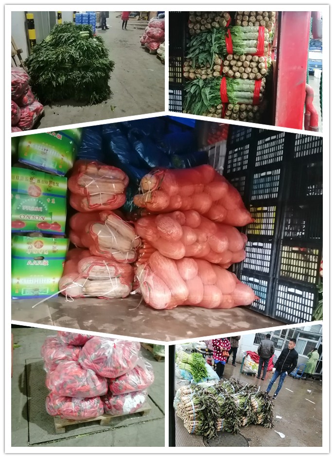 俄罗斯专享会294·VIP(中国区)官方网站