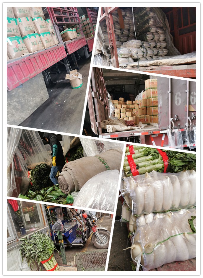 俄罗斯专享会294·VIP(中国区)官方网站