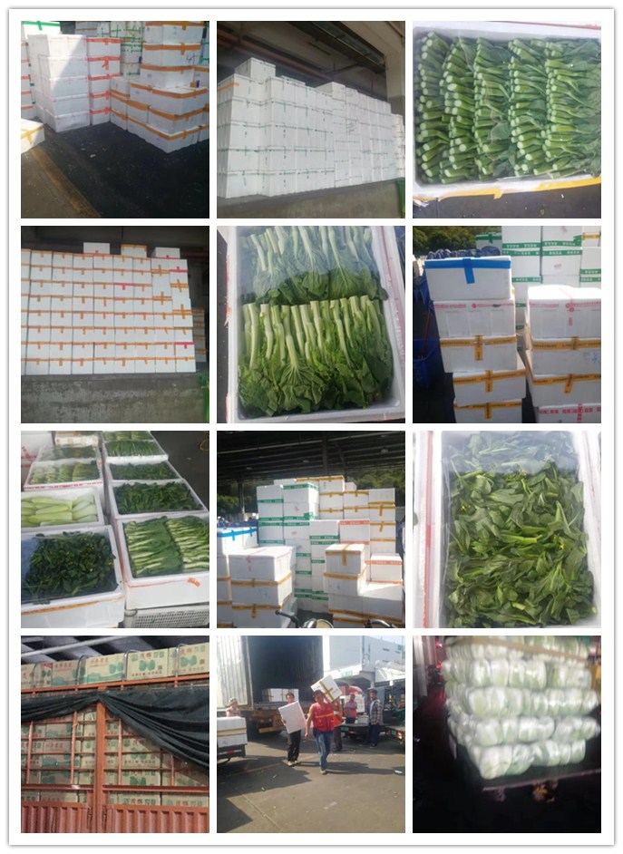 俄罗斯专享会294·VIP(中国区)官方网站