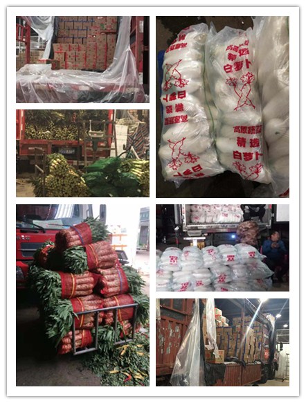 俄罗斯专享会294·VIP(中国区)官方网站