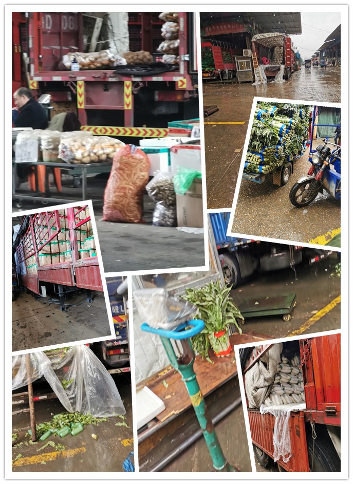 俄罗斯专享会294·VIP(中国区)官方网站