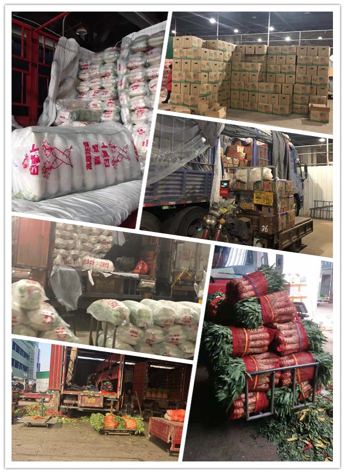 俄罗斯专享会294·VIP(中国区)官方网站