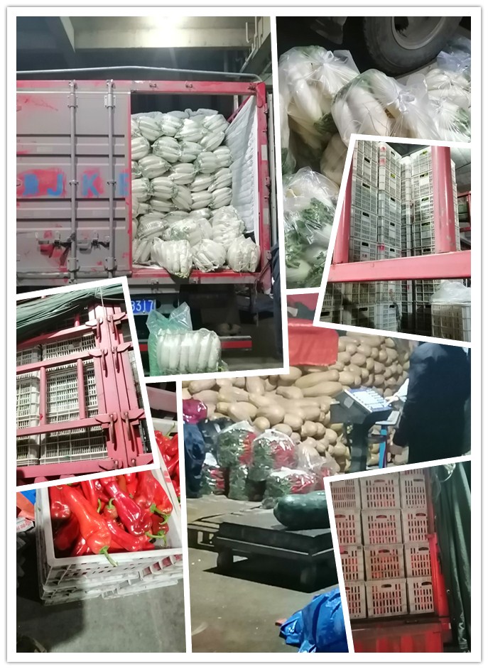 俄罗斯专享会294·VIP(中国区)官方网站