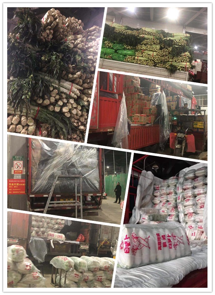 俄罗斯专享会294·VIP(中国区)官方网站