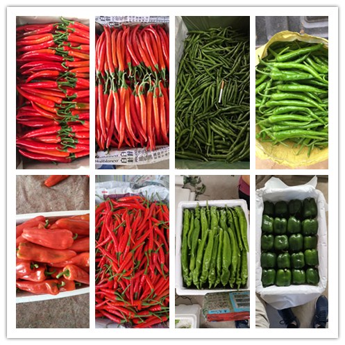 俄罗斯专享会294·VIP(中国区)官方网站