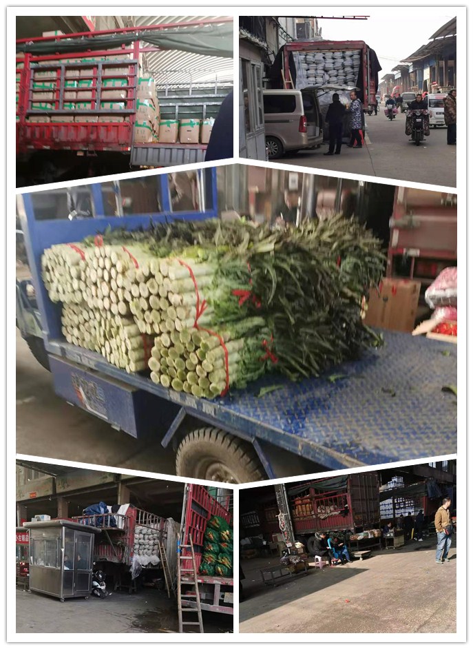 俄罗斯专享会294·VIP(中国区)官方网站