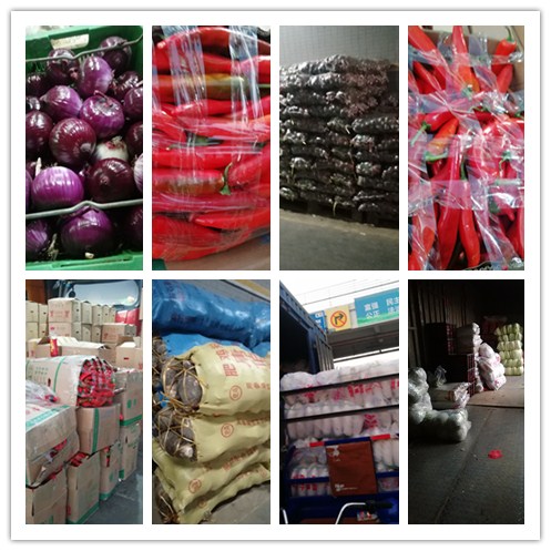 俄罗斯专享会294·VIP(中国区)官方网站