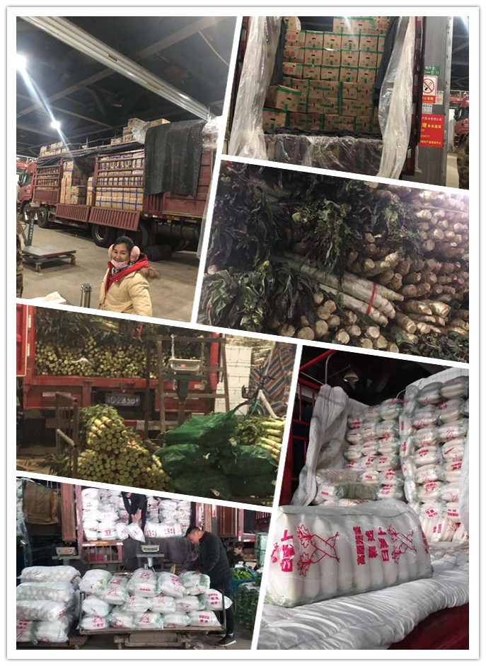 俄罗斯专享会294·VIP(中国区)官方网站