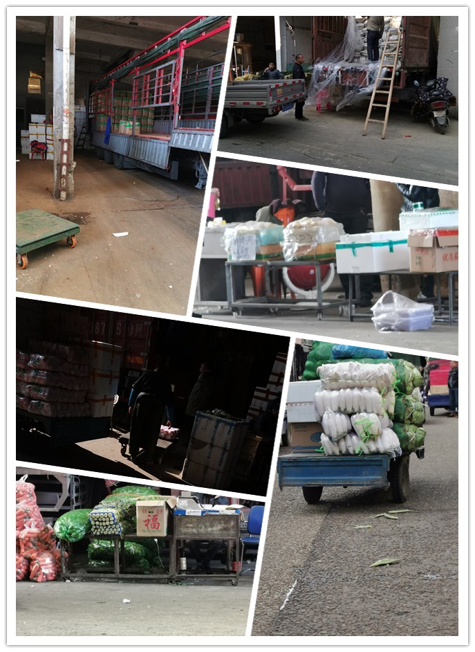 俄罗斯专享会294·VIP(中国区)官方网站