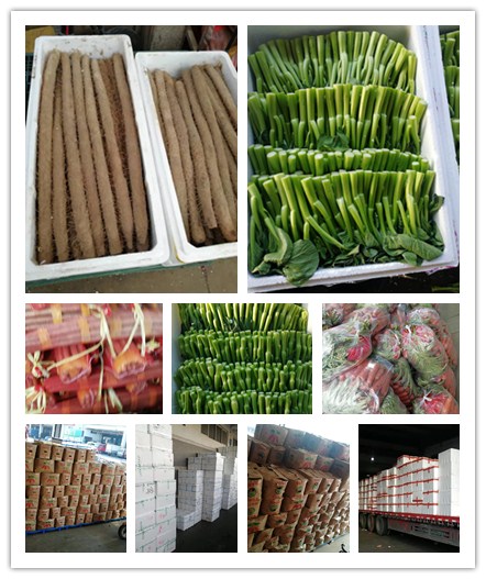 俄罗斯专享会294·VIP(中国区)官方网站