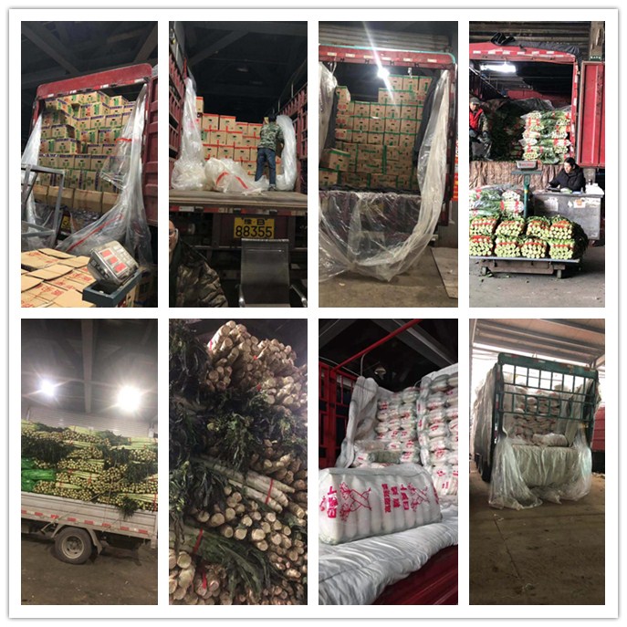 俄罗斯专享会294·VIP(中国区)官方网站