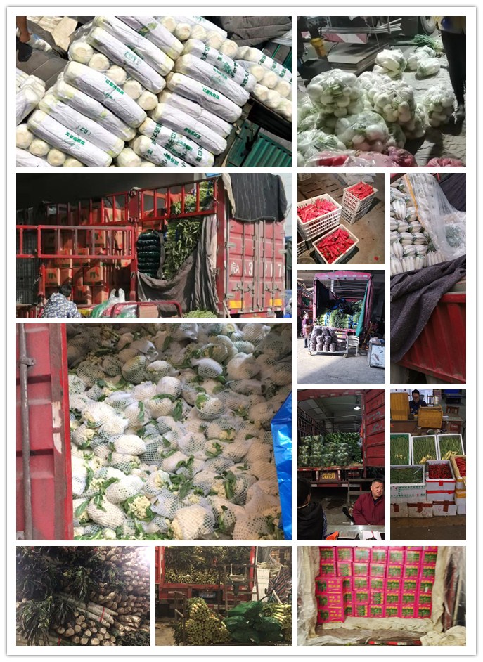 俄罗斯专享会294·VIP(中国区)官方网站