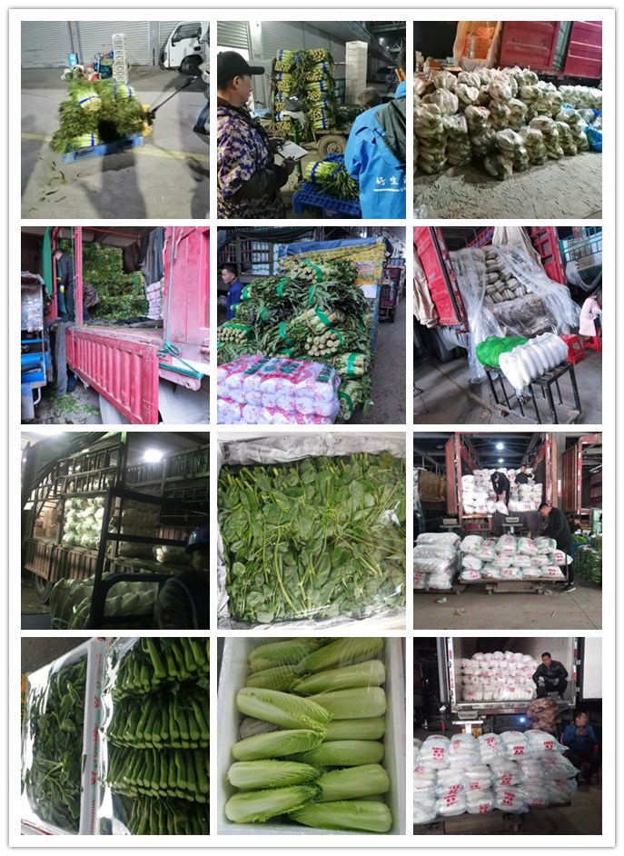 俄罗斯专享会294·VIP(中国区)官方网站