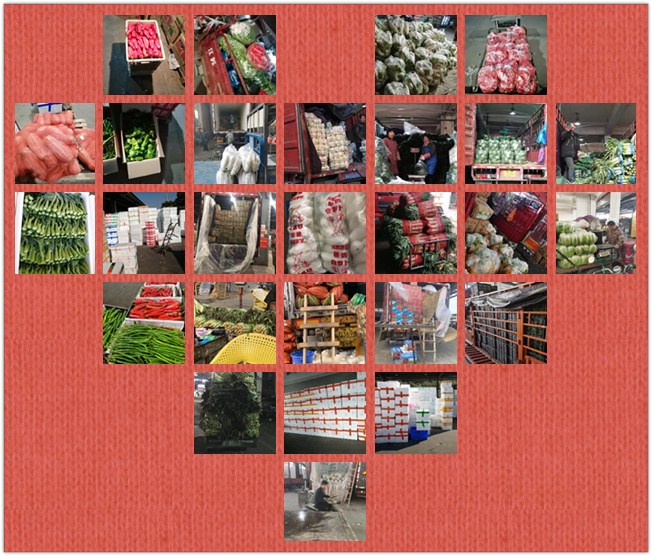 俄罗斯专享会294·VIP(中国区)官方网站