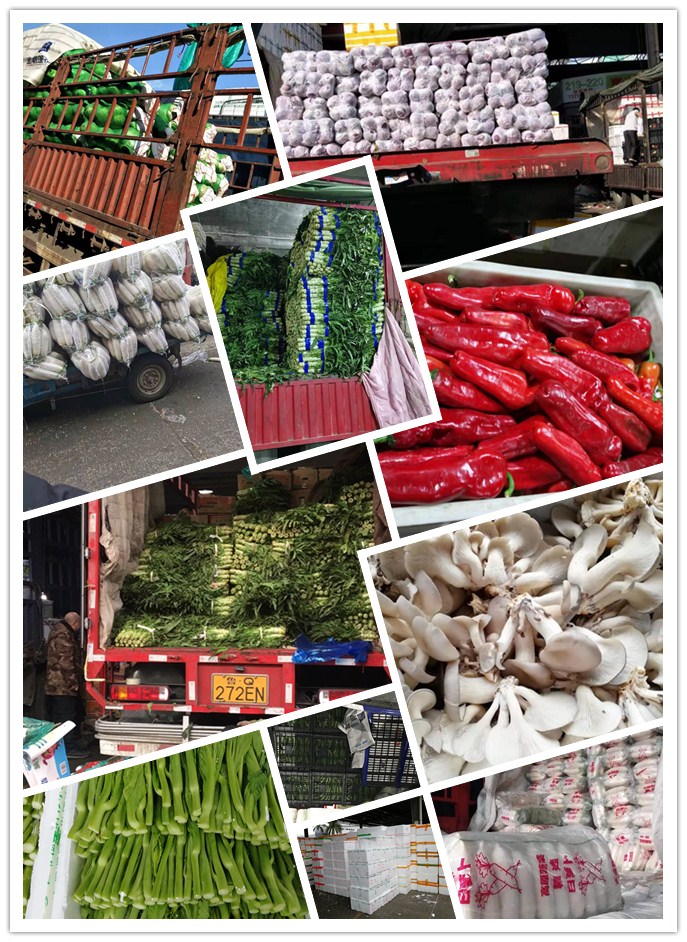 俄罗斯专享会294·VIP(中国区)官方网站