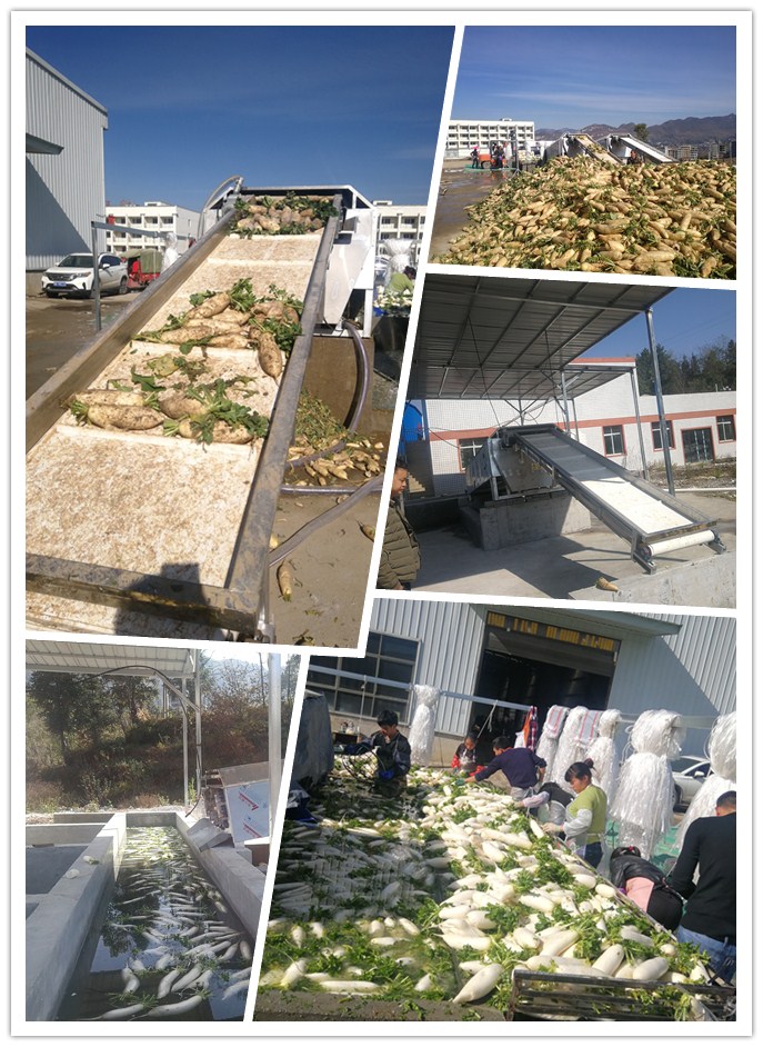 俄罗斯专享会294·VIP(中国区)官方网站