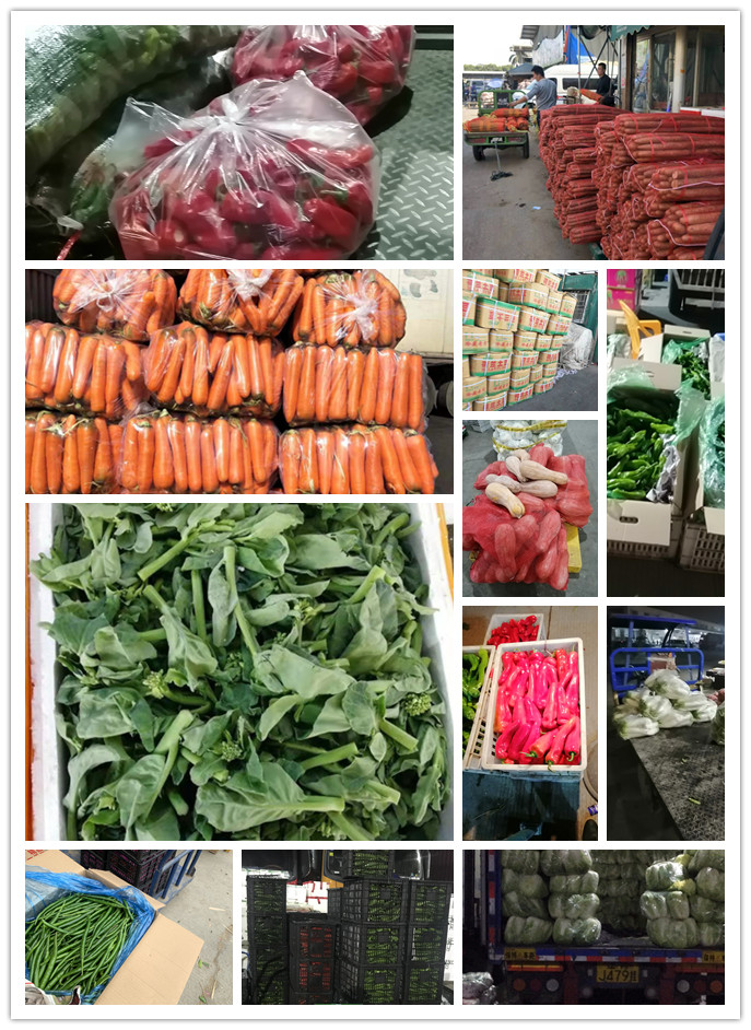 俄罗斯专享会294·VIP(中国区)官方网站