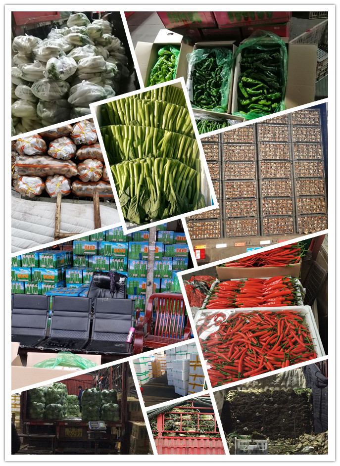 俄罗斯专享会294·VIP(中国区)官方网站