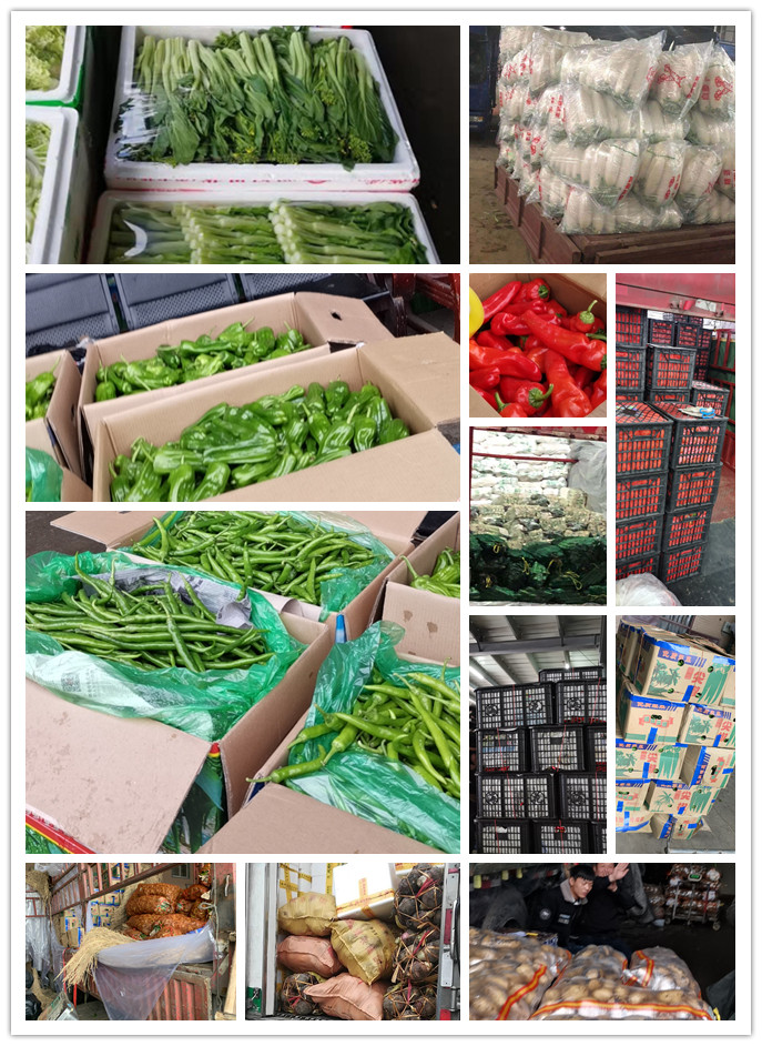 俄罗斯专享会294·VIP(中国区)官方网站