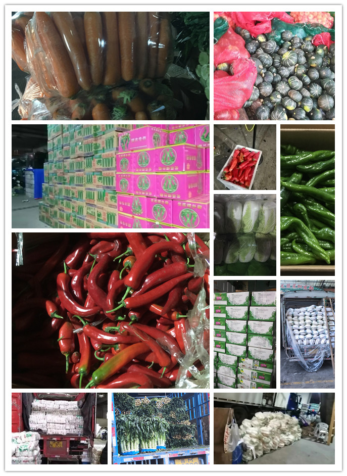 俄罗斯专享会294·VIP(中国区)官方网站