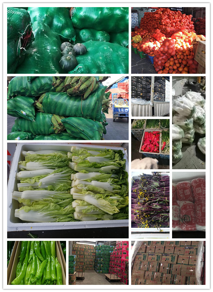 俄罗斯专享会294·VIP(中国区)官方网站