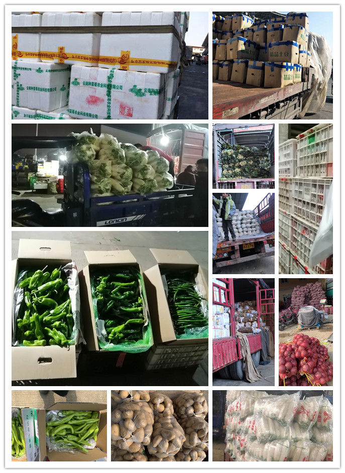 俄罗斯专享会294·VIP(中国区)官方网站