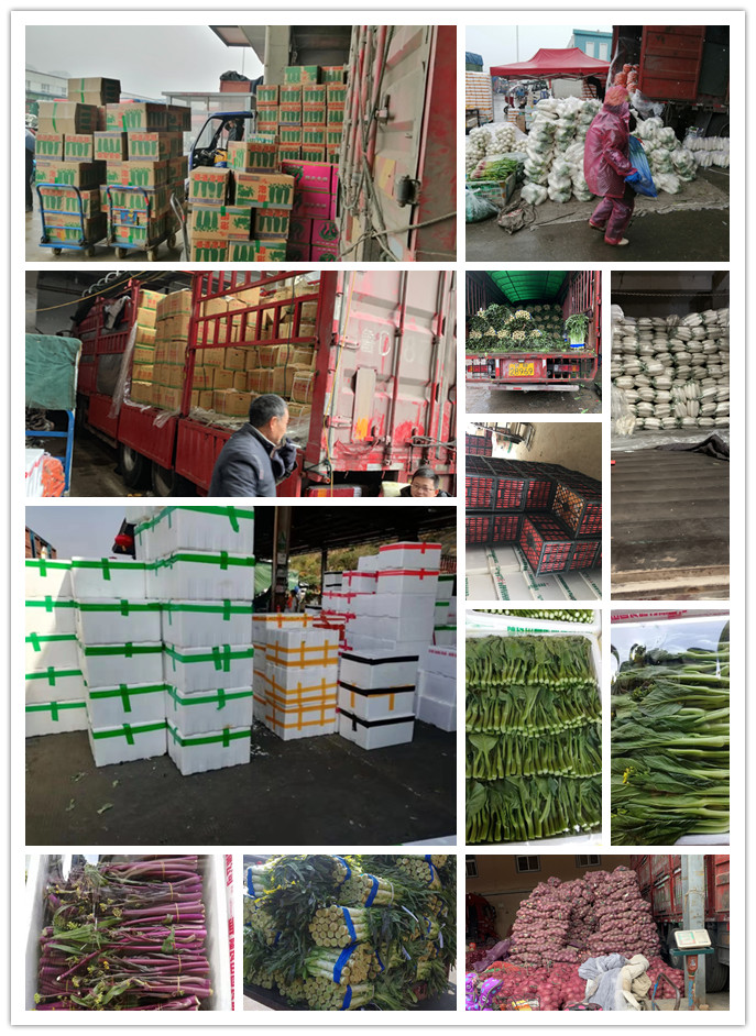 俄罗斯专享会294·VIP(中国区)官方网站