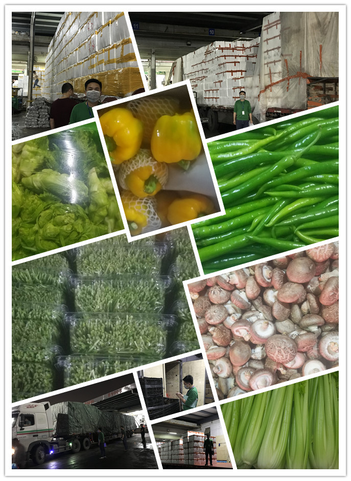 俄罗斯专享会294·VIP(中国区)官方网站