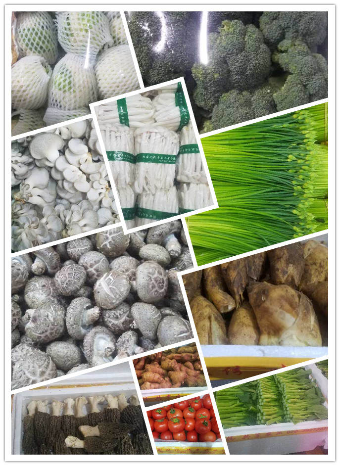 俄罗斯专享会294·VIP(中国区)官方网站