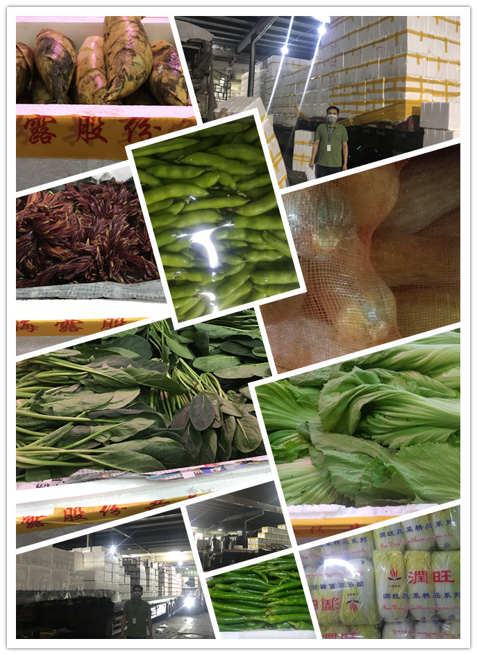 俄罗斯专享会294·VIP(中国区)官方网站