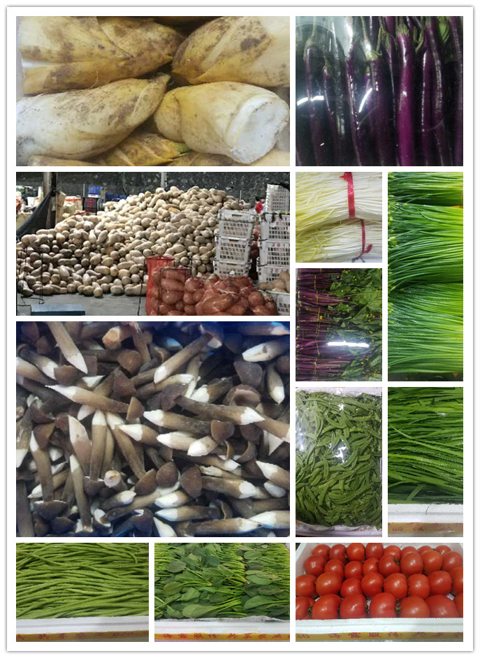 俄罗斯专享会294·VIP(中国区)官方网站