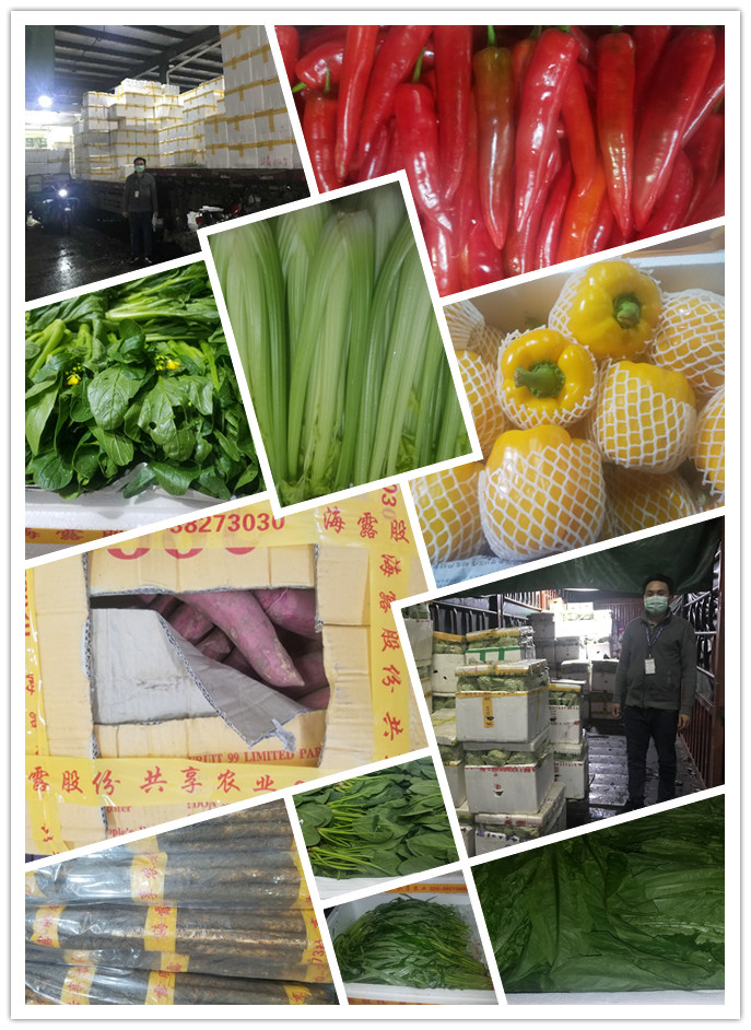 俄罗斯专享会294·VIP(中国区)官方网站