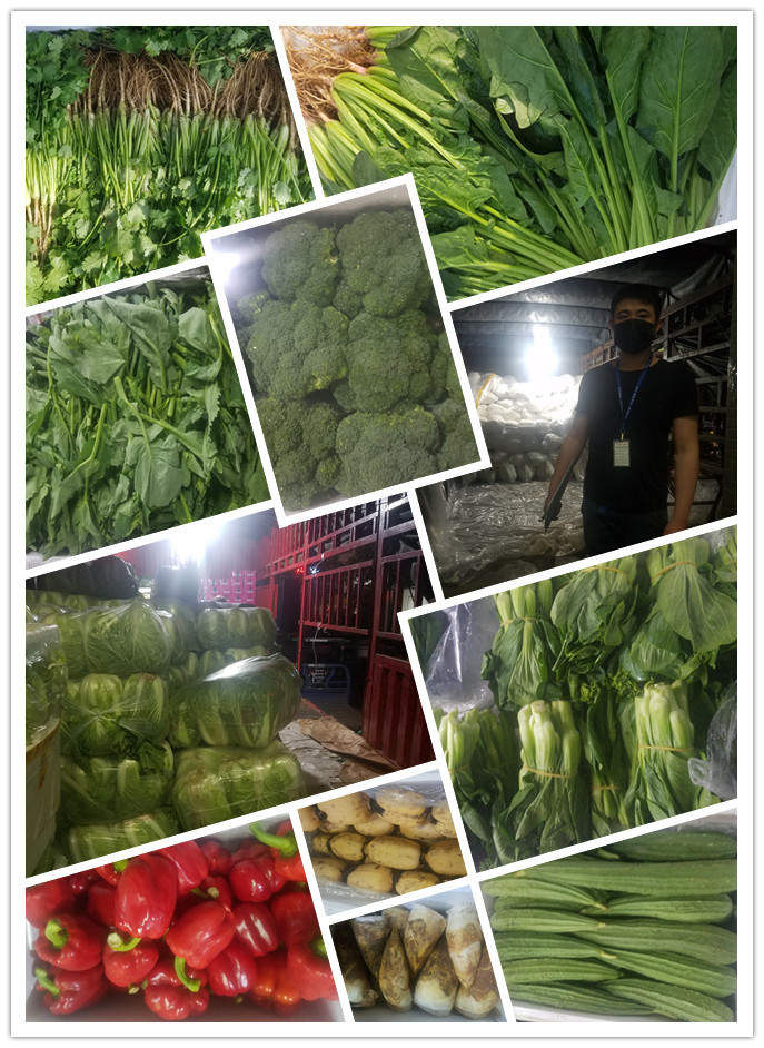 俄罗斯专享会294·VIP(中国区)官方网站