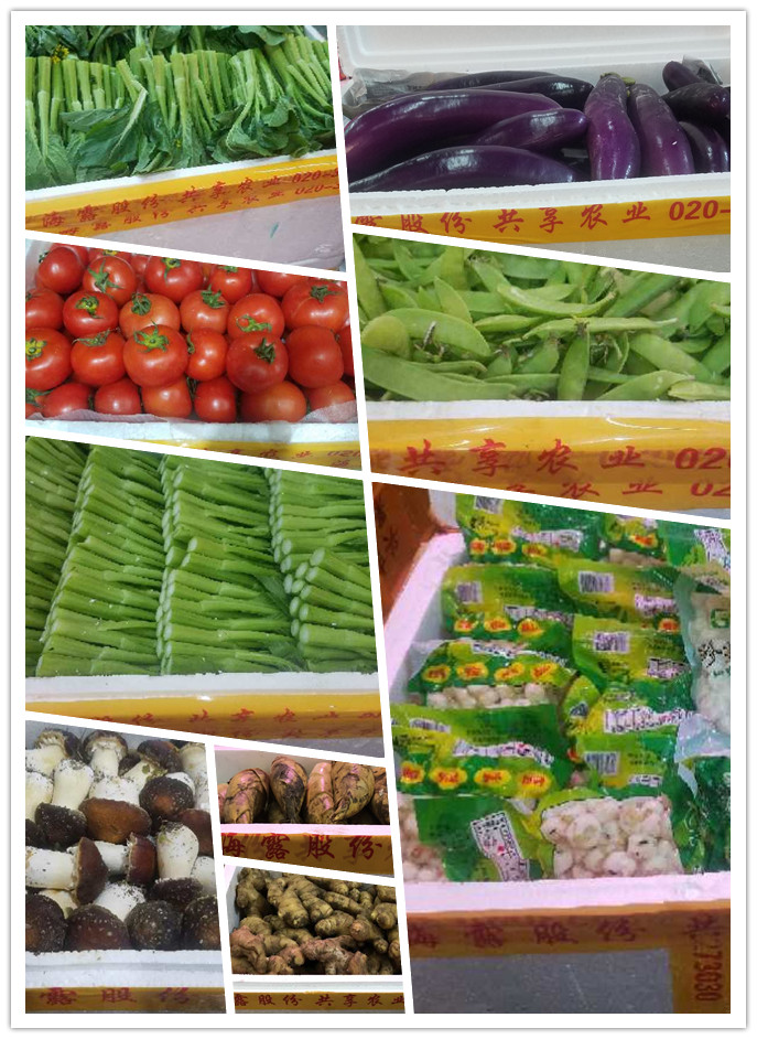 俄罗斯专享会294·VIP(中国区)官方网站