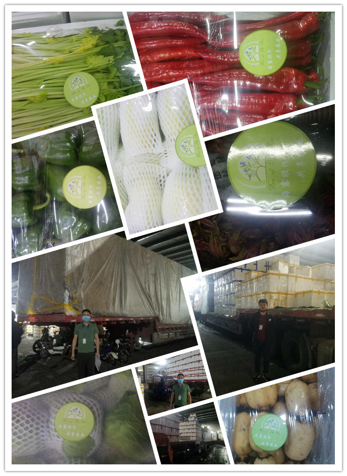 俄罗斯专享会294·VIP(中国区)官方网站