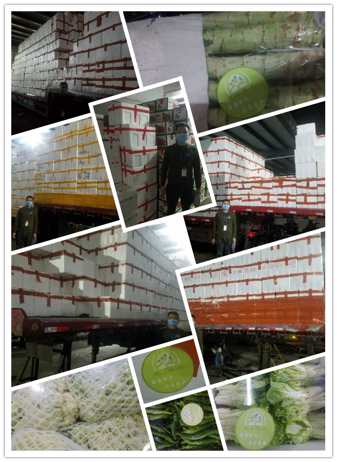 俄罗斯专享会294·VIP(中国区)官方网站