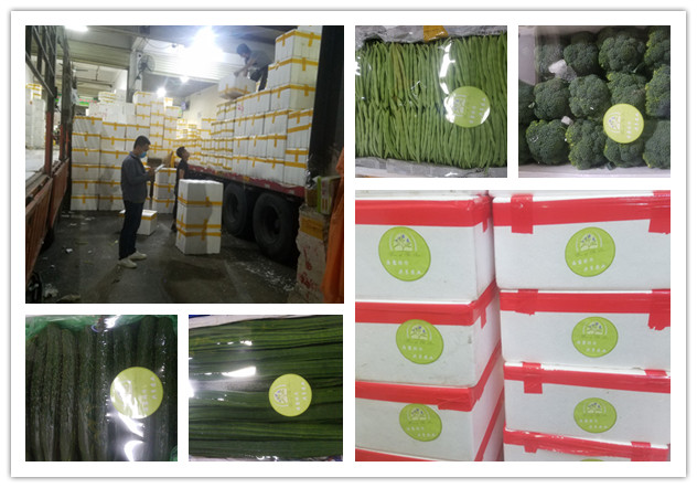 俄罗斯专享会294·VIP(中国区)官方网站