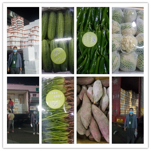 俄罗斯专享会294·VIP(中国区)官方网站